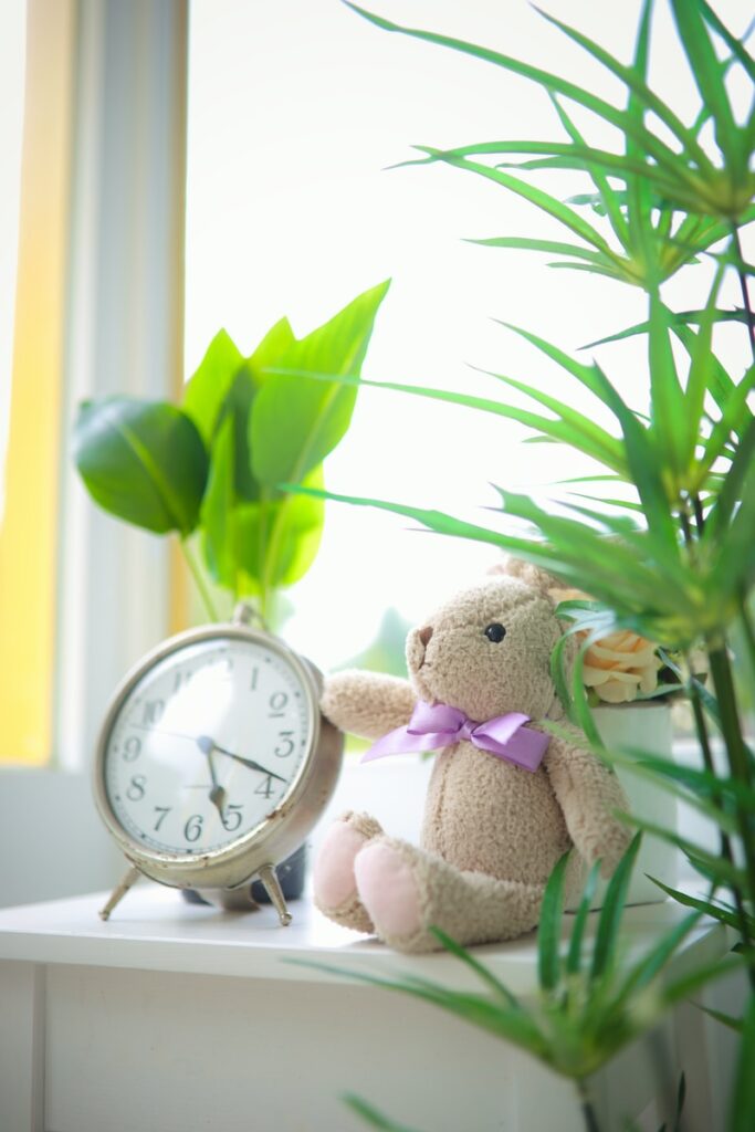 brown bear plush toy beside green plant